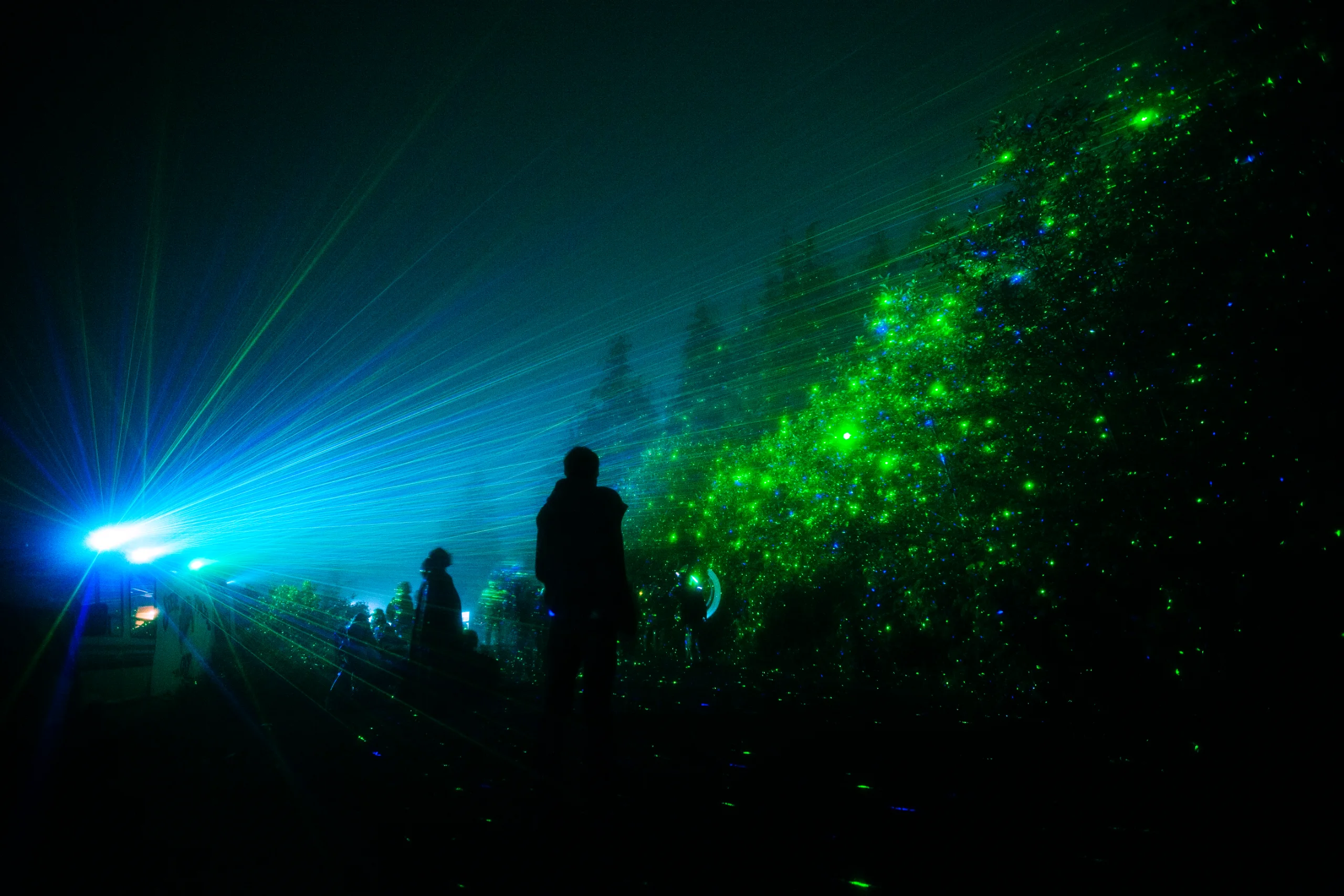 Green and blue laser beams glowing through fog beneath a forest canopy at an island music festival