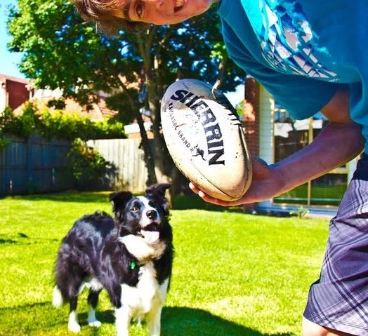 Owen holding a ball while playing fetch with his aunt and uncle’s dog in Australia