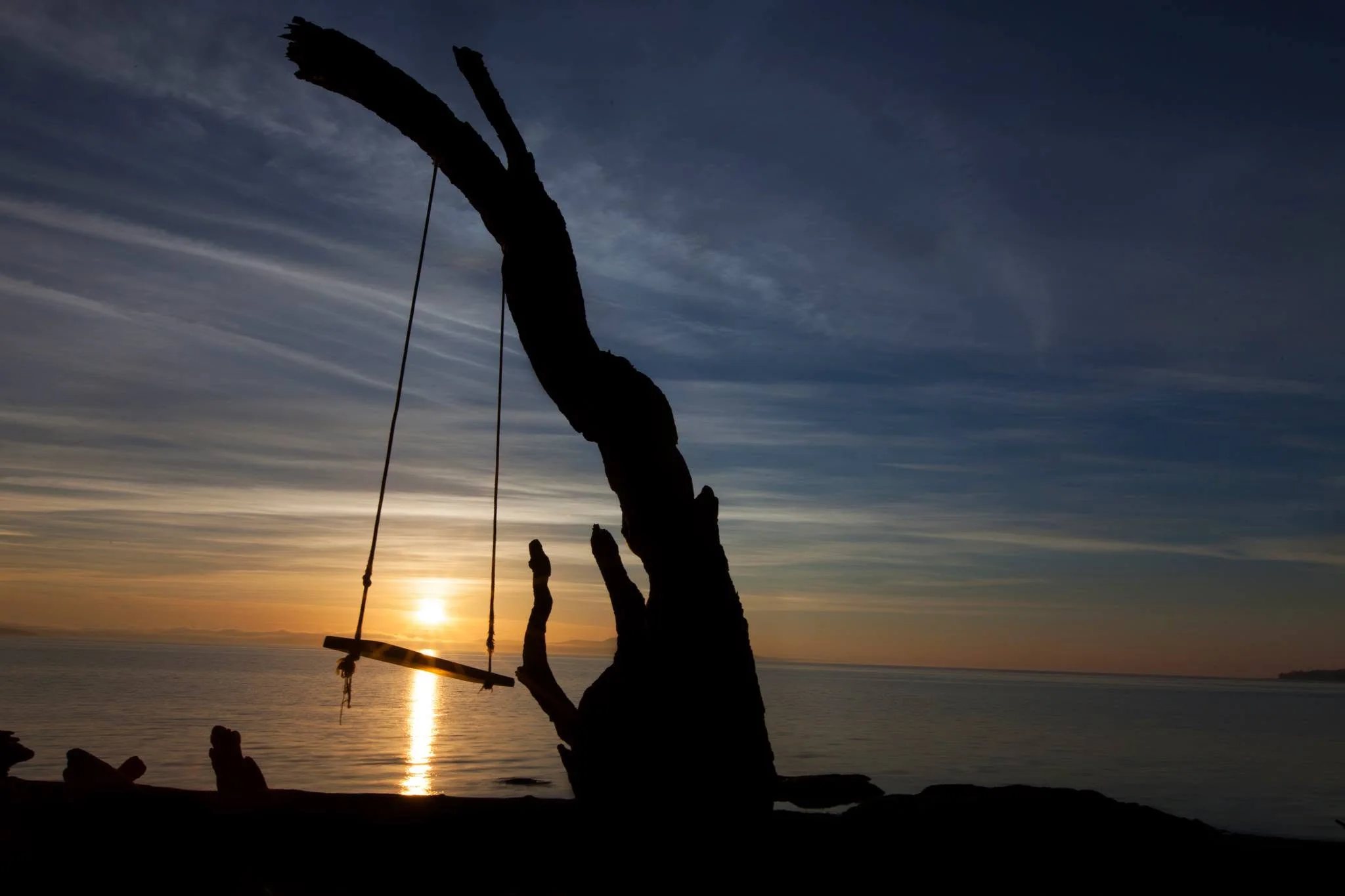 An empty rope swing silhouetted against a beach at sunset